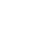 Hombre de Valor Muscle icon